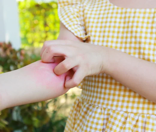 Rug Cleaning Process