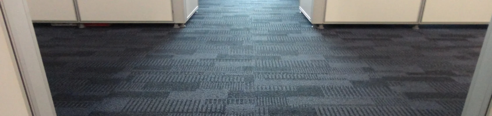Carpet Cleaning